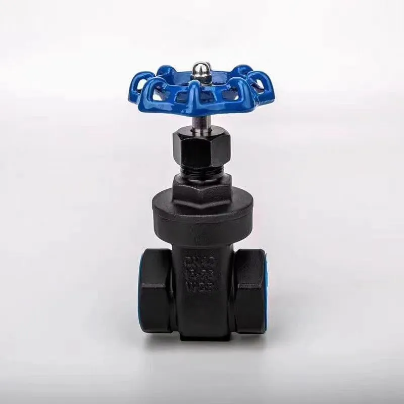 Vanne de porte de boucle en acier en carbone