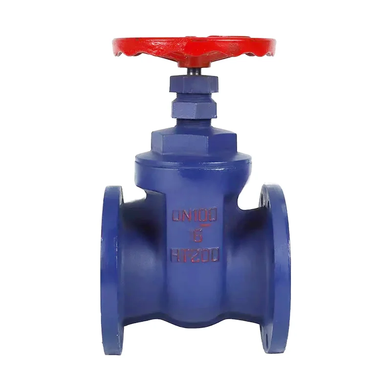 Valve de porte de bride en fonte en fonte en fonte en fonte en fonte en fonte