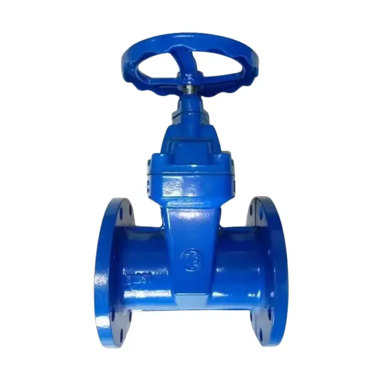 Fer ductile en fer dissimulé en fer dissimulé
