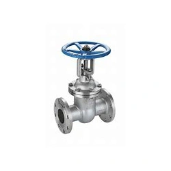 Soupape de porte de bride en acier inoxydable coulé